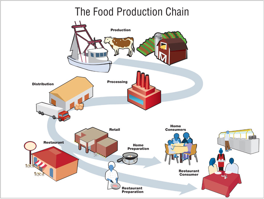 FDA food production chain image showing contamination can happen at any stage